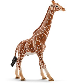 Schleich 史萊奇動物模型 長頸鹿爸爸 SH14749