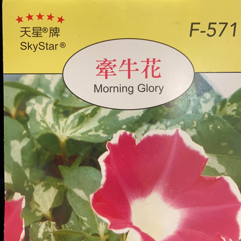 牽牛花 花卉種子 天星牌彩色原包裝種子 蝦皮購物