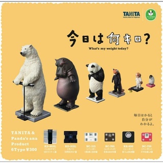 🔅現貨🔅 熊貓之穴 T-arts 站在TANITA 體重機 體重 量體重 北極熊 河馬 熊貓 企鵝 狗 動物 扭蛋 轉蛋