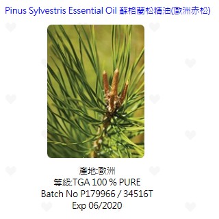 松精油 優惠推薦 21年9月 蝦皮購物台灣