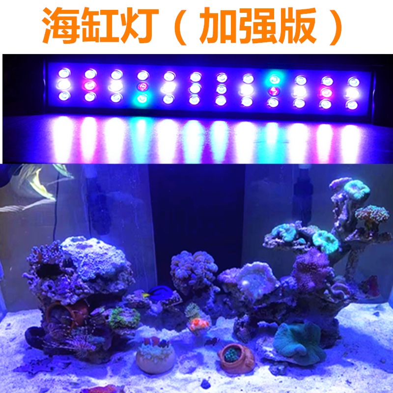Led 珊瑚 水族相關優惠推薦 寵物22年10月 蝦皮購物台灣