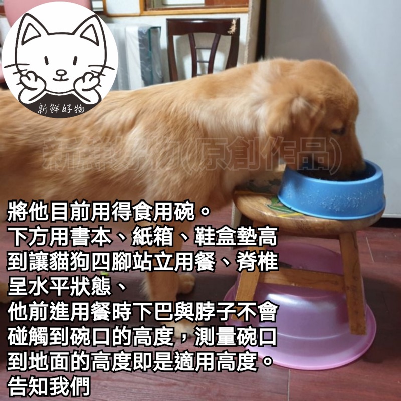 新鮮好物小霸王犬用中小型犬寵物餐桌碗架古代牧羊犬黃金獵犬哈士奇米克斯土狗黃金獵犬鬆獅犬柴犬 蝦皮購物