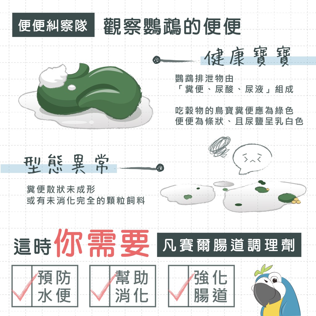 金瑞成鳥園 腸道調理劑 預防水便 疏解各種緊迫 創造腸道內有益菌 店長推薦 蝦皮購物