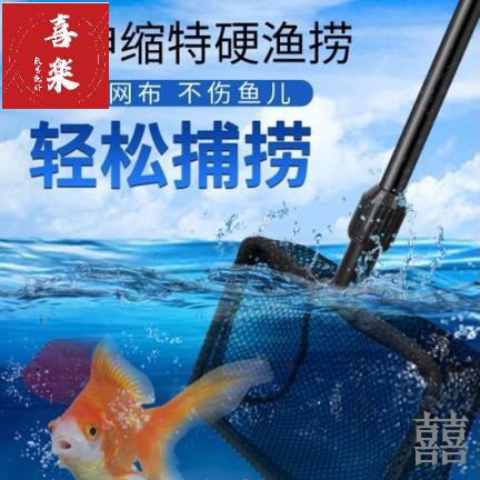 觀賞魚金魚 Ptt Dcard討論與高評價網拍商品 21年11月 飛比價格