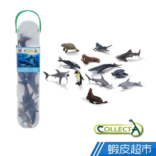 CollectA 迷你海洋生物組1 (盒裝12入) 英國高擬真模型 R1107 現貨 廠商直送