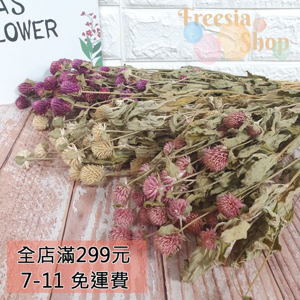 現貨 千日紅乾燥花 圓仔花乾燥花束畢業花束不凋花乾燥花束手作花材 蝦皮購物