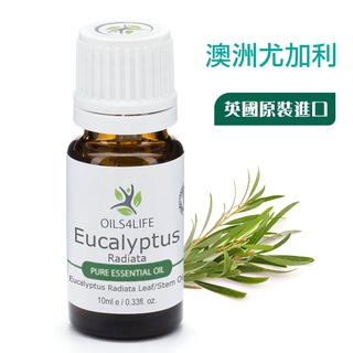 現貨 Eucalyptus Radiata澳洲尤加利精油10ml 30ml 英國原裝 OILS4LIFE 天然芳療純精油