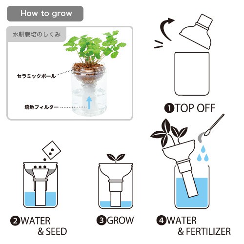 Green Pet 綠色水耕植物瓶 聖新陶芸 日本正版授權 水耕植物 薄荷 羅勒 檸檬香草 野草莓 懶人植栽 居家 蝦皮購物