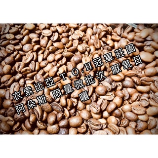 【珈堂咖啡】 衣索比亞 T.O.H冠軍莊園 阿朵斯 限量微批次 厭氧日曬 咖啡豆