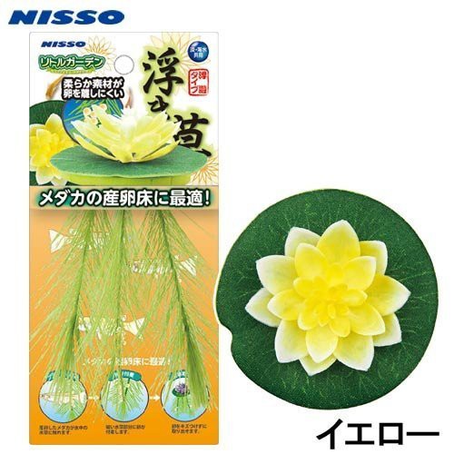 微笑的魚水族 日本nisso 黃色 漂浮水草 産卵床 浮草 鬥魚 躲藏 蓮花 荷花 浮萍 蝦皮購物