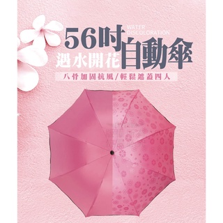 56吋遇水開花自動傘【寶包老闆】24H臺灣速發 4人大傘 自動傘 黑膠款 雨傘 折傘 摺疊傘 防風傘 臺灣出貨