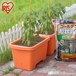 👍臺灣公司＋發票👍~園藝用品家庭菜園種菜深型種植盆 長方形塑膠蔬菜盆