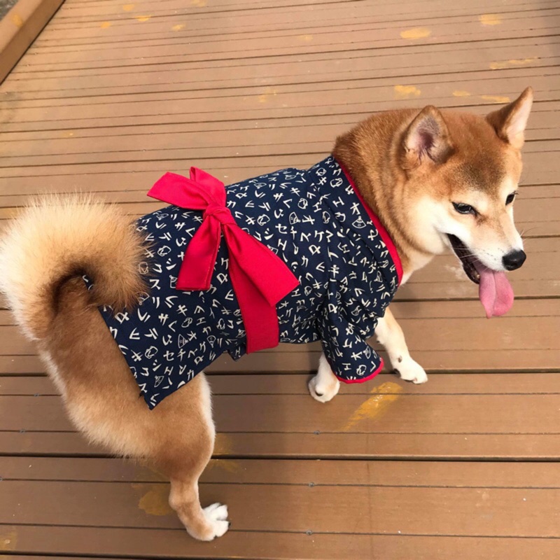 柴犬和服 柴模 Anika 蝦皮購物