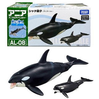 【免運 3C小苑】AN13763 正版 日本 多美 AL-08 虎鯨 漂浮版 探索動物 多美動物 玩水 動物 模型 玩具
