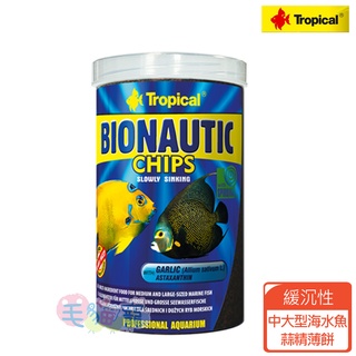 【Tropical】德比克免疫中大型海水魚蒜精薄片1000ml 女王 皇后 法國神仙 海水魚 毛貓寵