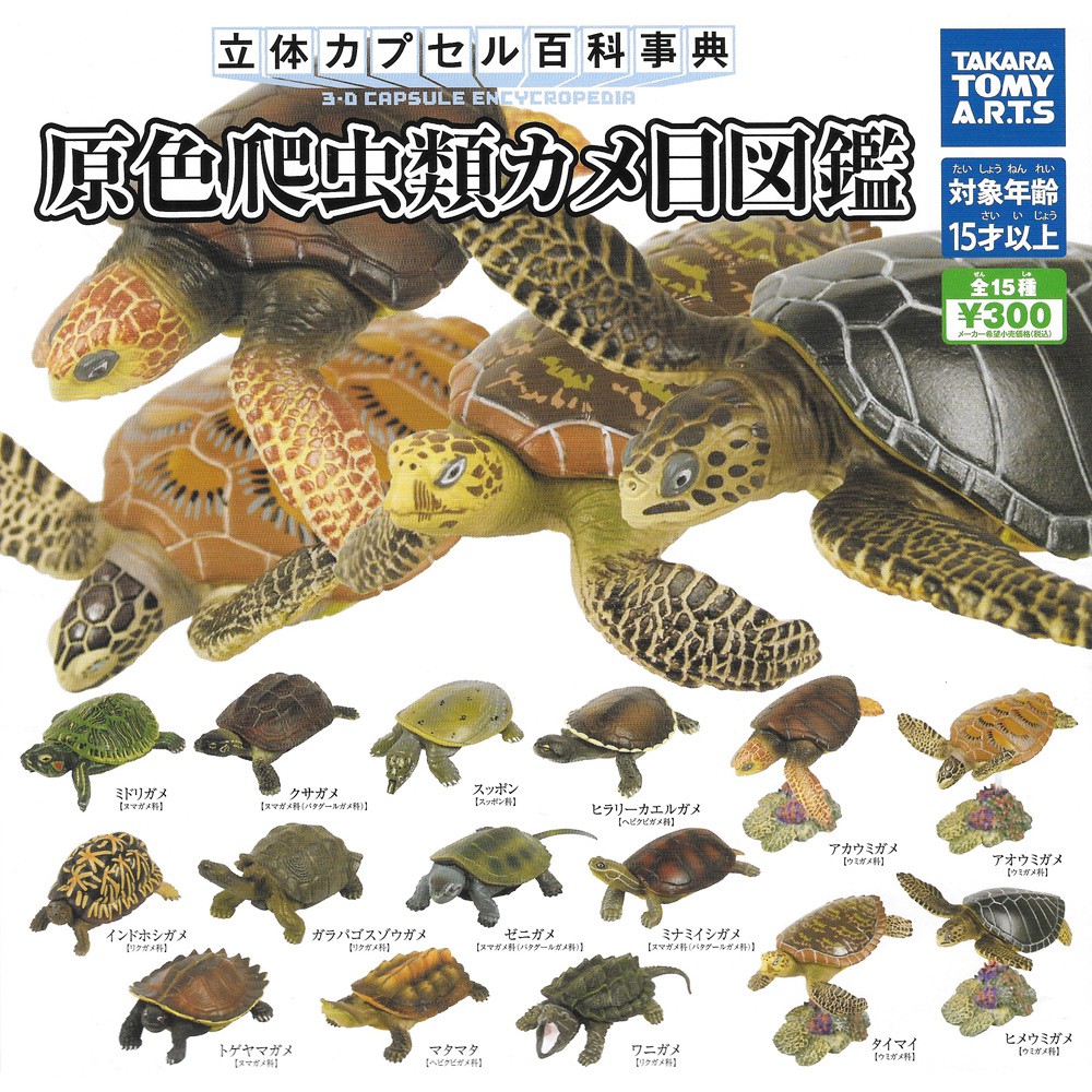 含稅立體百科事典烏龜篇扭蛋轉蛋動物模型takara Tomy 日本正版 蝦皮購物