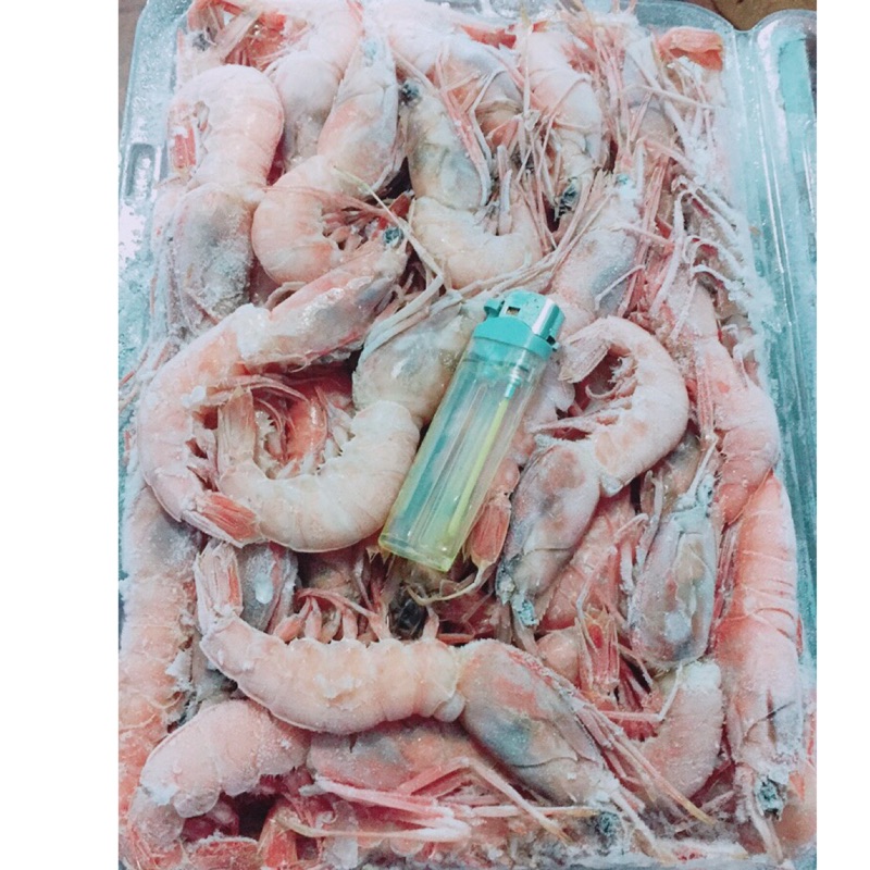 明蝦王-生食級黃膏甜蝦（大）