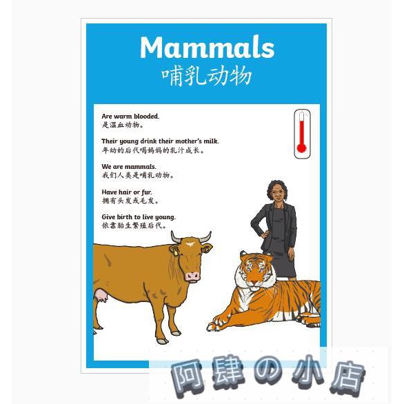 動物種類習性生活習慣英語a4海報中英文大卡片啟蒙幼稚園教室臥房裝飾教具a4一套7張 阿肆の小店 蝦皮購物