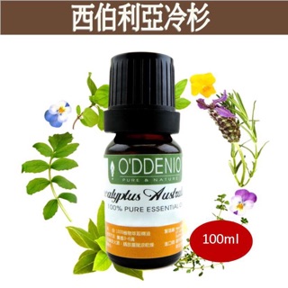 【西伯利亞冷杉純精油100ml】Fir Needle Siberian優質單方純精油系列《歐丹尼》