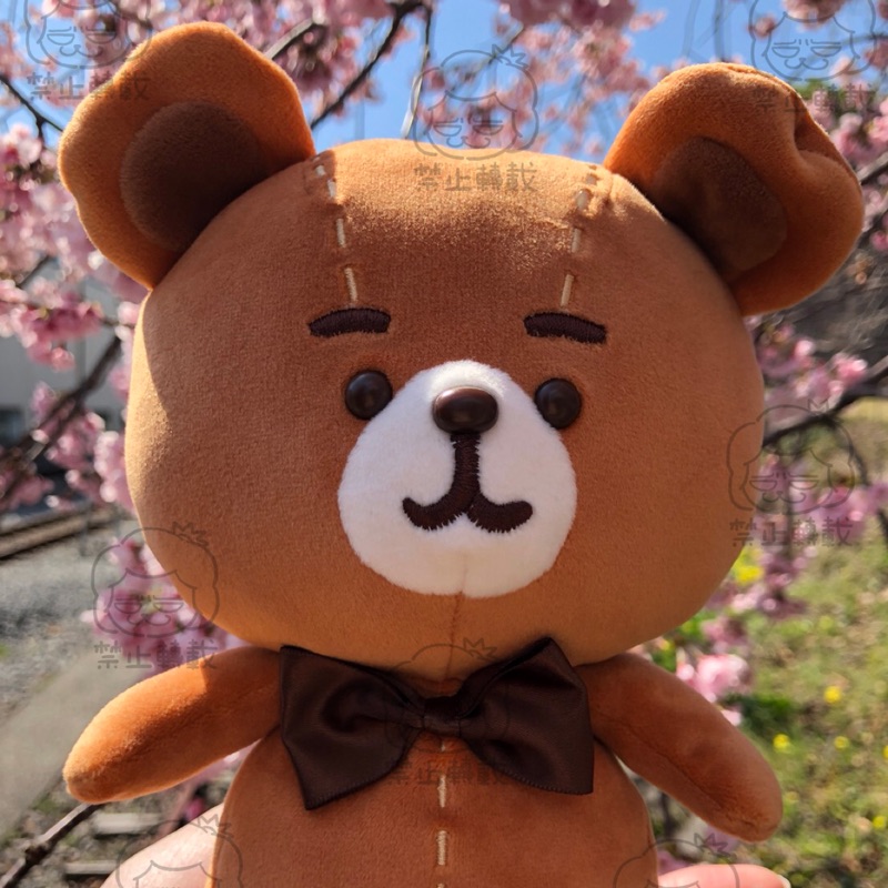 [現貨］卡娜赫拉 kanahei 伊豆 泰迪熊博物館 熊熊娃娃