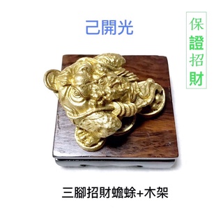 【紅磨坊】蟾蜍 銅蟾蜍 金蟾蜍 銅製蟾蜍 開光 七星三腳踩古錢迷你蟾蜍 長7CM Ruby 20SS 挑款