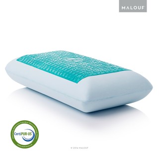 【普羅恩歐美枕頭館】美國Z Zoned Memory Foam Pillow 感溫枕