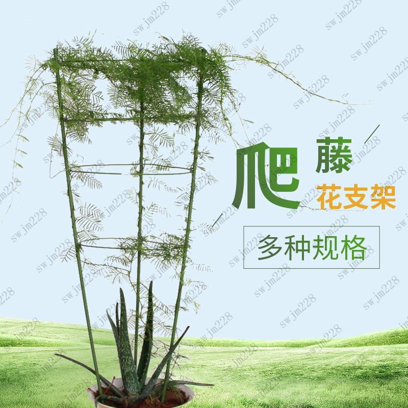 園藝支柱花支架 Ptt Dcard討論與高評價網拍商品 21年8月 飛比價格