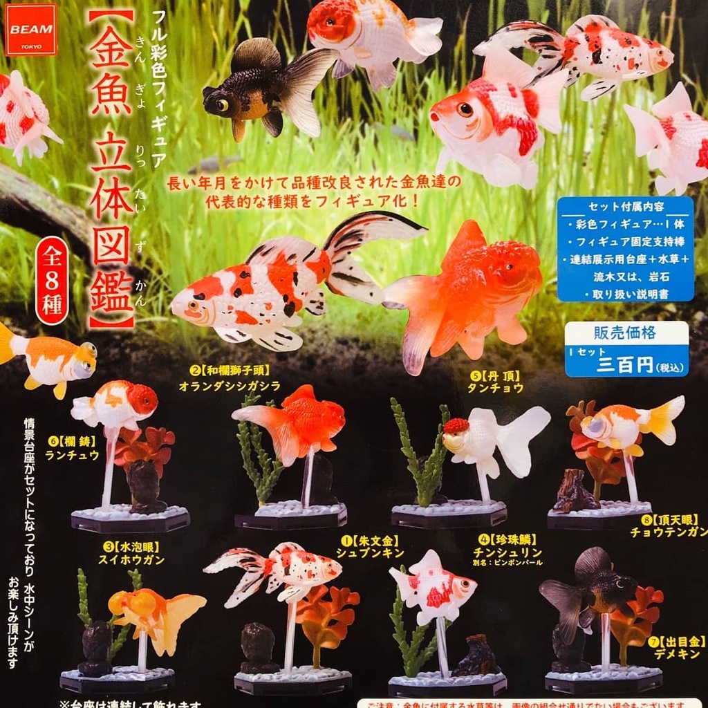 立體金魚的價格推薦 21年9月 比價比個夠biggo
