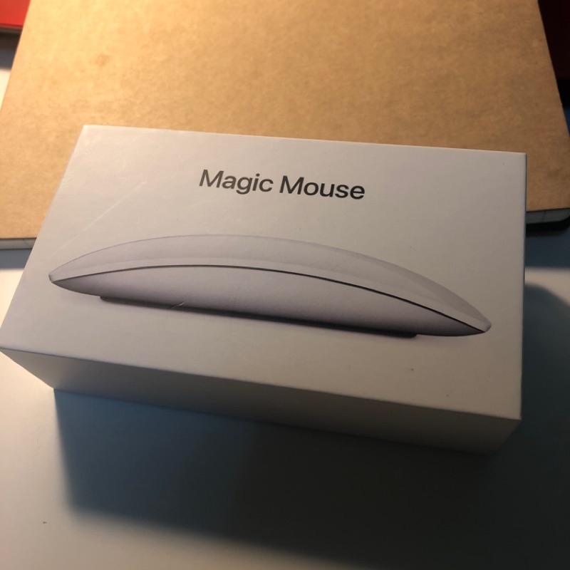 Apple 原廠無線滑鼠 Magic Mouse 2 巧控滑鼠 2代 白色