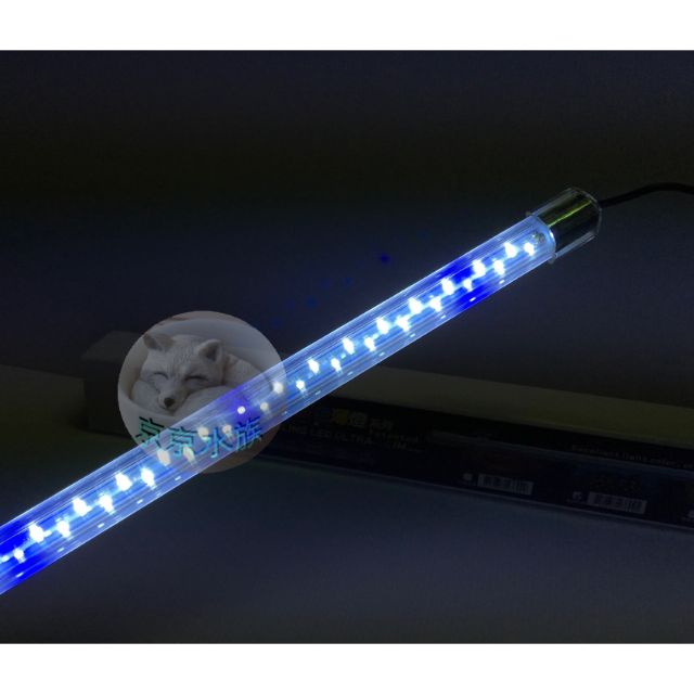 台灣惠弘 2尺~3尺 LED水中燈 藍白燈 魟魚籃白 高級觀賞魚專用 燈具 藍白