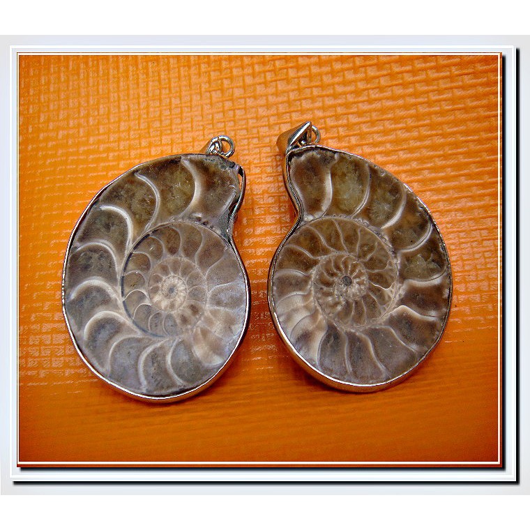 [早期珍藏品BC]天然精美化石 鸚鵡螺(一對鑲掛鍊)