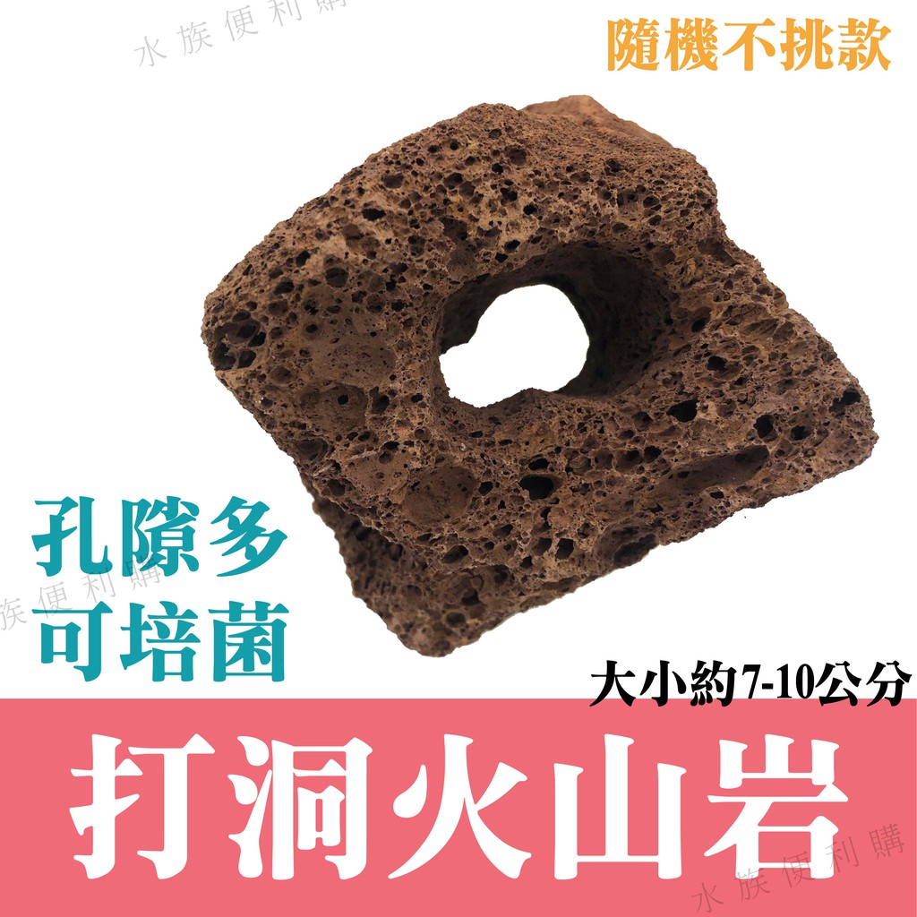 水族火山岩石 Ptt討論與高評價網拍商品 21年7月 飛比價格