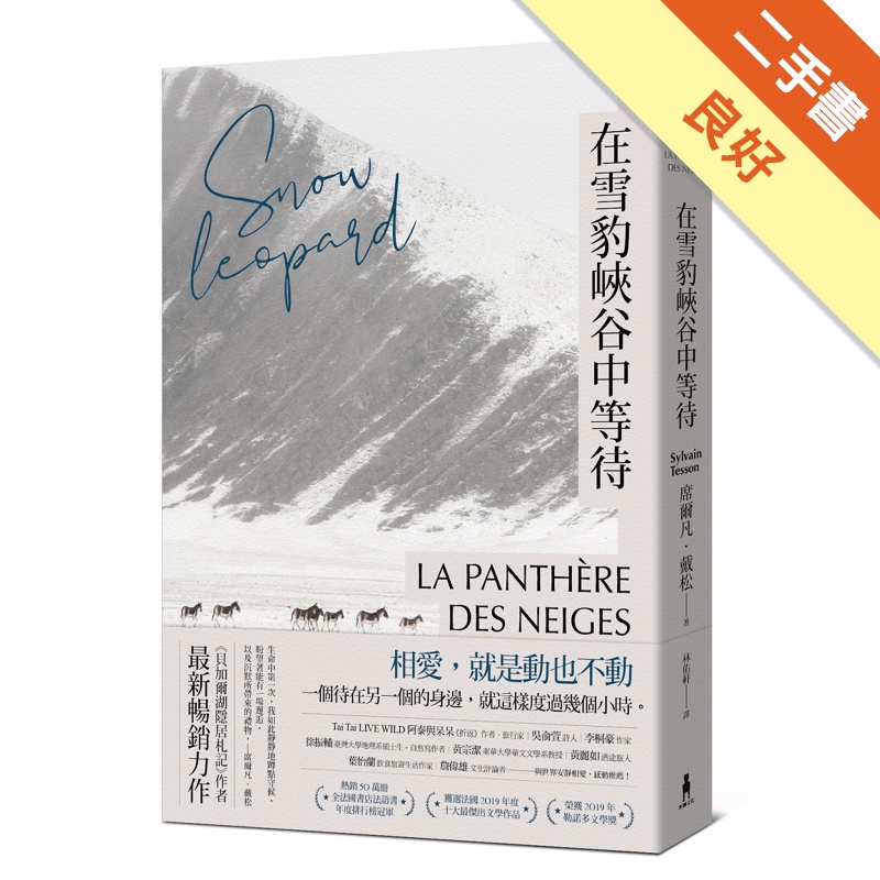 在雪豹峽谷中等待：這世界需要蹲點靜候，我去青藏高原拍雪豹