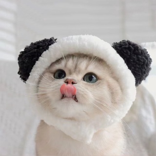 在台現貨寵物絨毛頭套 貓帽子 貓頭套 寵物可愛帽子 寵物網紅頭套 小熊兔子頭套 熊貓 獅子頭套帽子 【好物挖哇哇】 #3