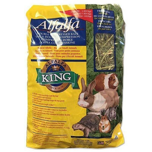 美國alfalfa King阿法王 苜蓿草 提摩西牧草 燕麥草 64oz 包鼠兔專用 Wang 蝦皮購物