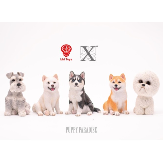 【那間模型】XMMOS jxk 哈士奇 柴犬 白柴 秋田犬 雪納瑞 比熊犬 雪橇犬 模型 公仔 送禮 生日禮物
