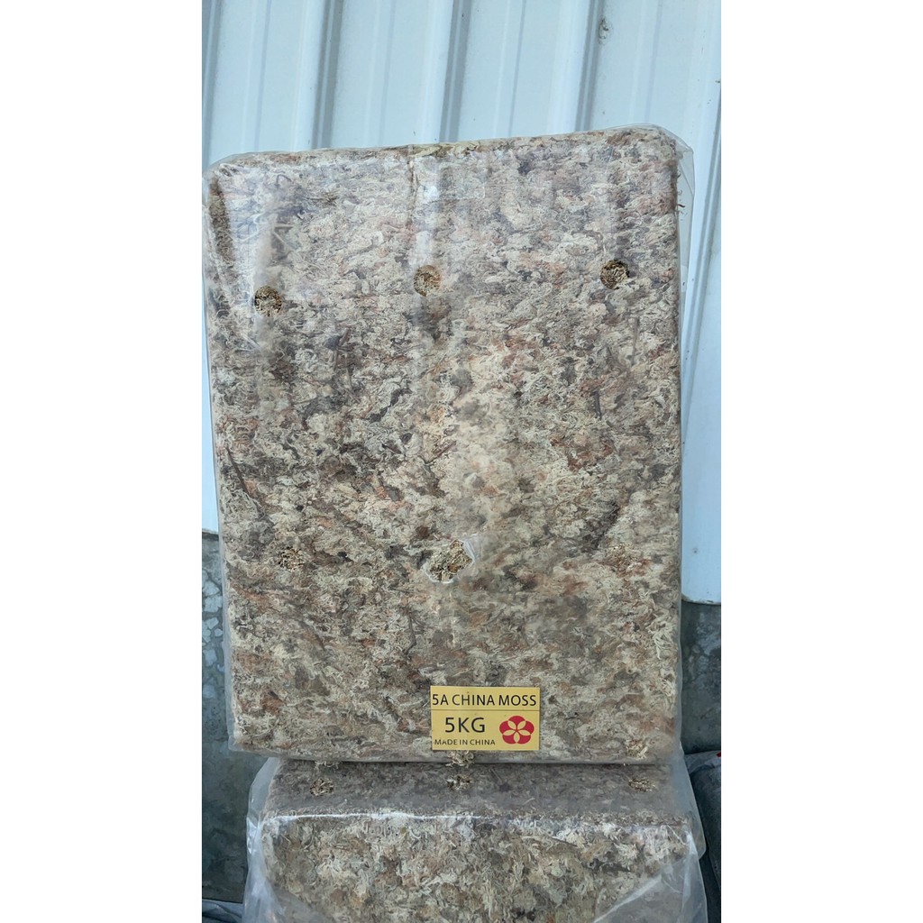 花花世界 園藝資材 水草 水苔 達到通氣性是極佳的栽培材料 5kg Tc 蝦皮購物