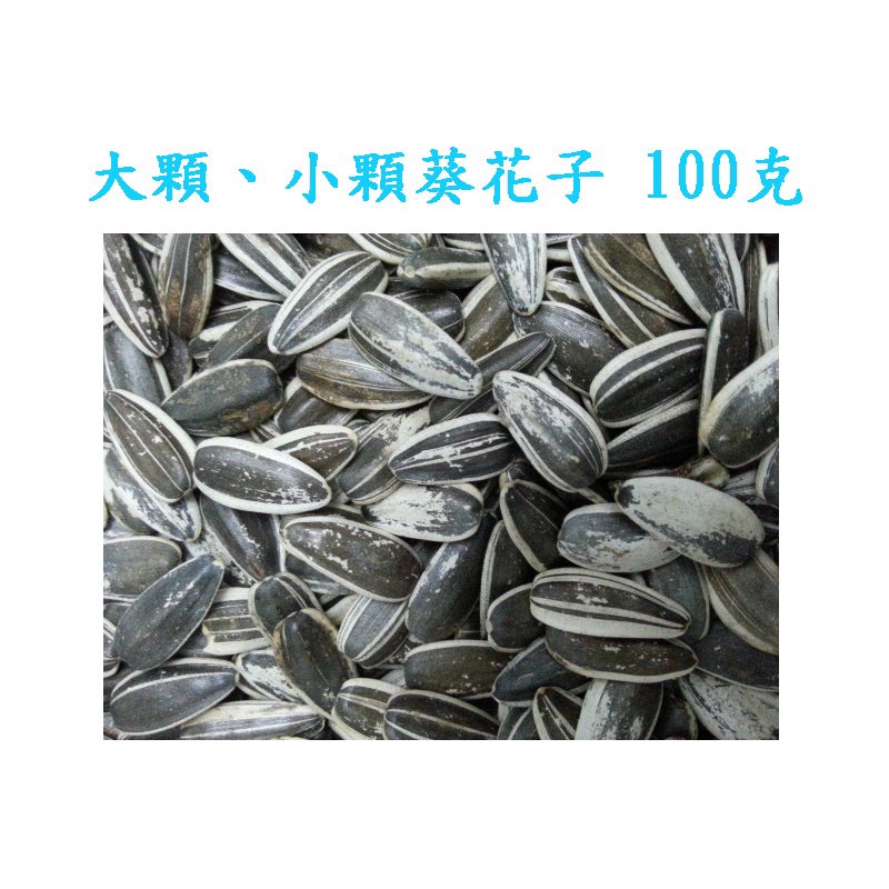 伍家生活 寵物用大顆 小顆葵花子100克倉鼠 三線鼠 黃金鼠 蝦皮購物