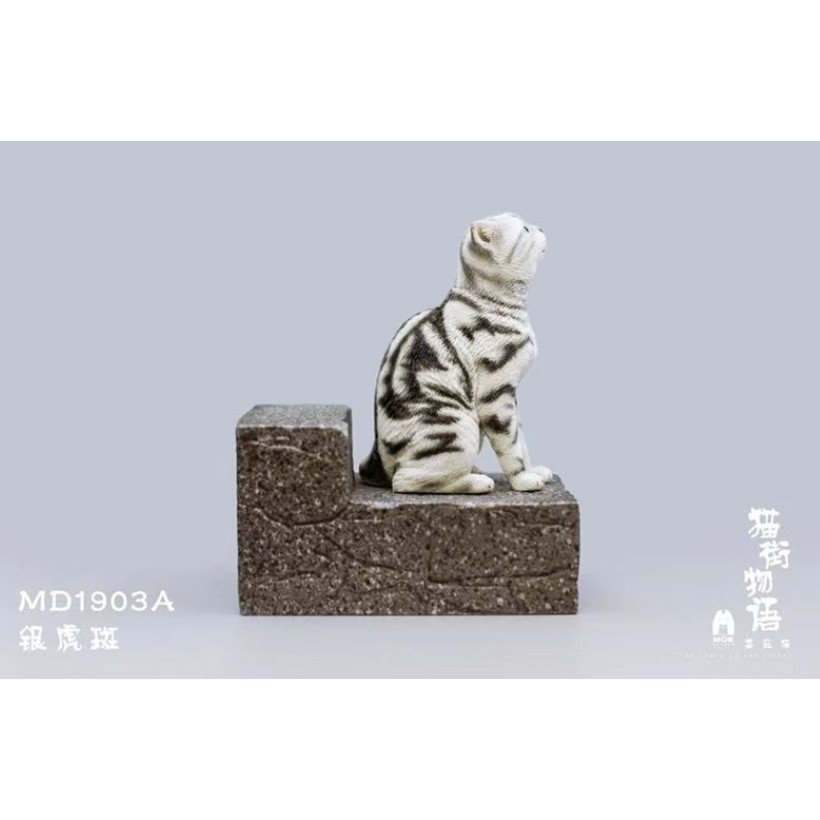 那間模型 1 6 萌達布moe Double 貓街物語委屈猫猫公仔貓咪貓模型公仔仿真收藏 蝦皮購物