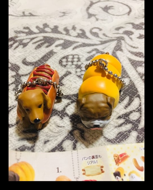 日本扭蛋狗狗吊飾三隻共100原價台灣300 蝦皮購物