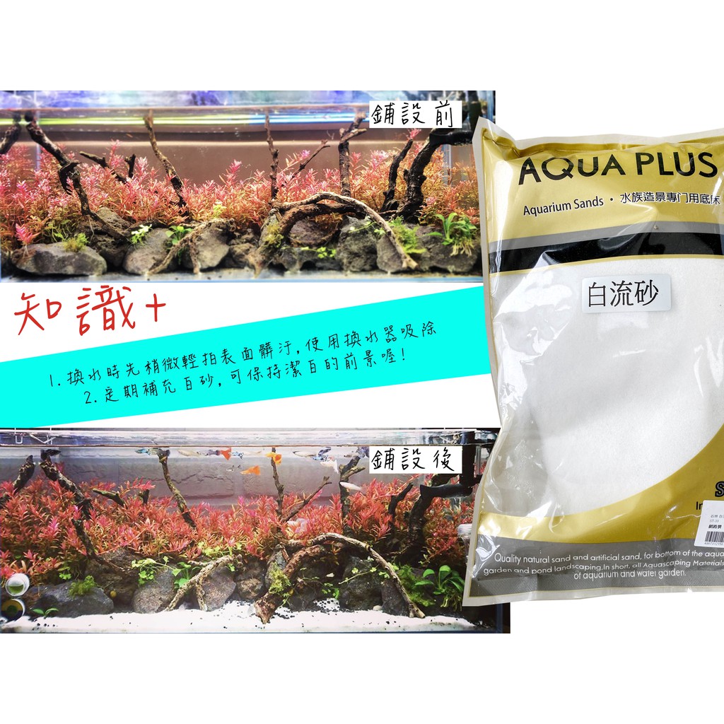 墨耘 水族底砂 白流砂1 5kg 90 3kg 180 細砂底砂白色白砂白沙 蝦皮購物