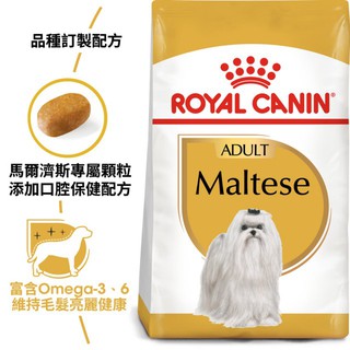 ★寵物史達爾★法國皇家 馬爾濟斯 成犬 MTA(PRM24) 1.5kg(公斤) 瑪爾濟斯