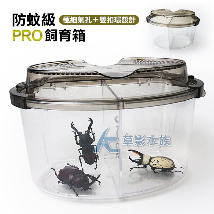 Ac草影 防蚊級pro飼育箱 L 一個 寵物箱寵物盒昆蟲盒 蝦皮購物