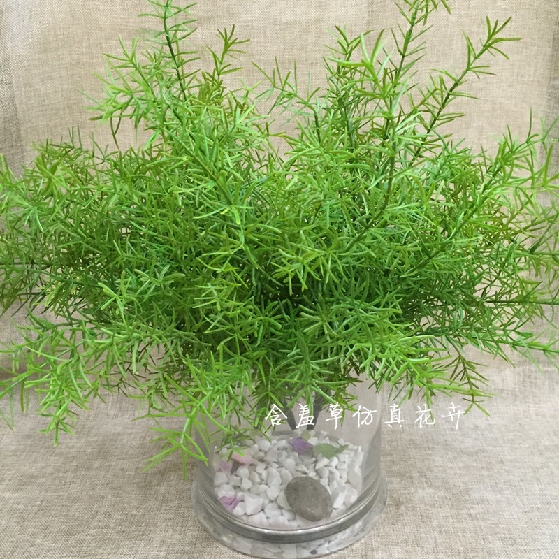 花草裝飾 仿真蕨類植物天門冬室內綠化景觀植物牆綠植高檔動感天門冬裝飾 蝦皮購物