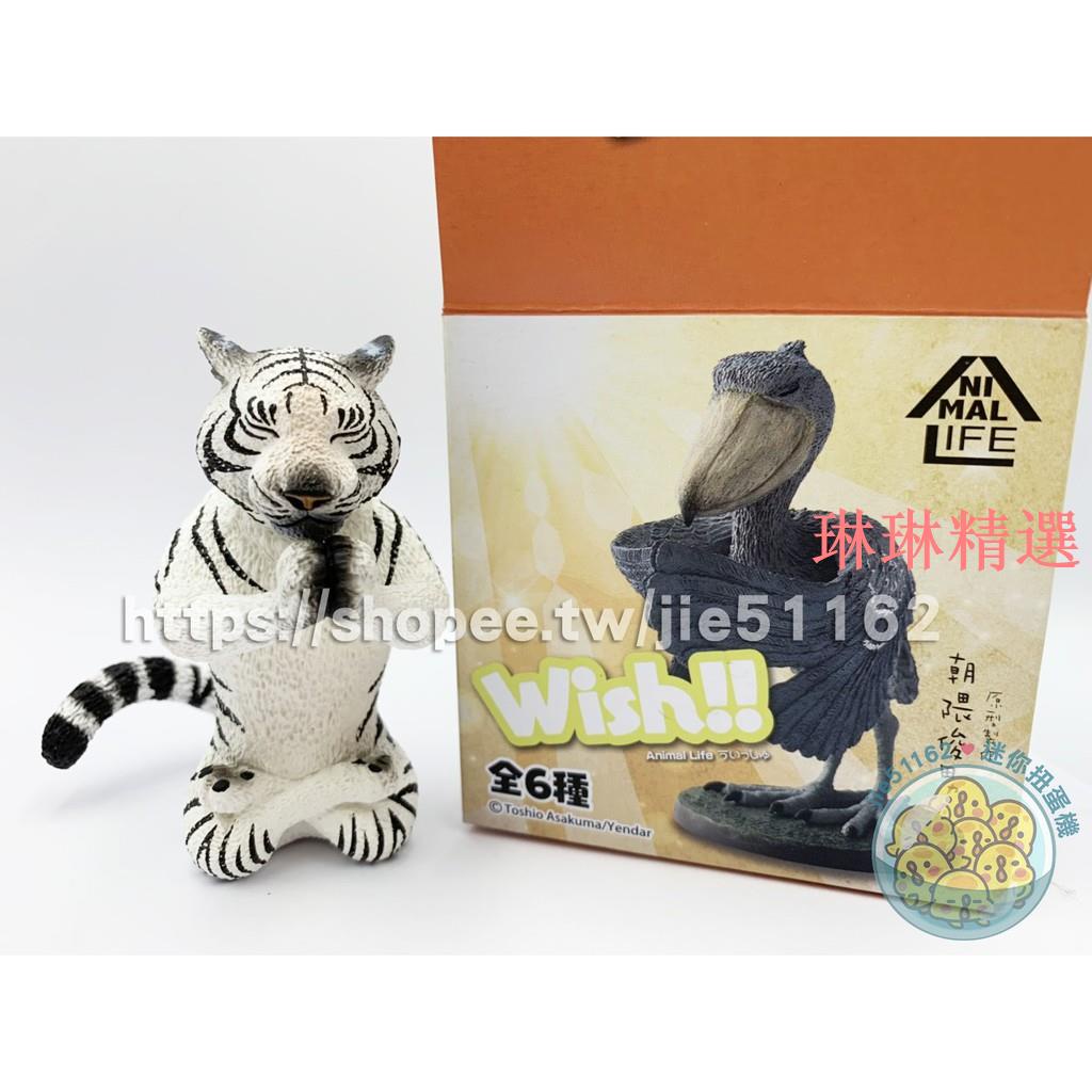 Animal 祈禱的價格推薦 21年11月 比價比個夠biggo