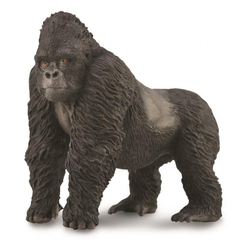 《 COLLECTA 》英國 Procon 動物模型 大猩猩【台中宏富玩具】