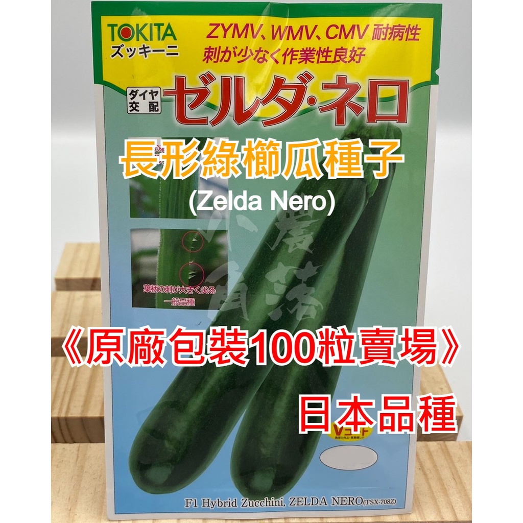 【現貨。不用再問】日本TOKITA 綠色 長形 櫛瓜種子 (原廠包裝100粒) 夏南瓜種子 F1種子 一代雜交