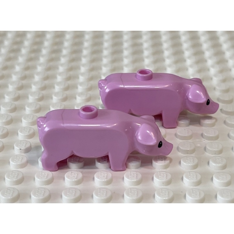 LEGO樂高 海盜系列 21322 粉紅豬 動物 豬