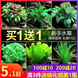 魚缸造景 漂浮石水族仿真造景裝飾人工浮石阿凡達水草魚缸造景石懸莫斯石頭 蝦皮購物