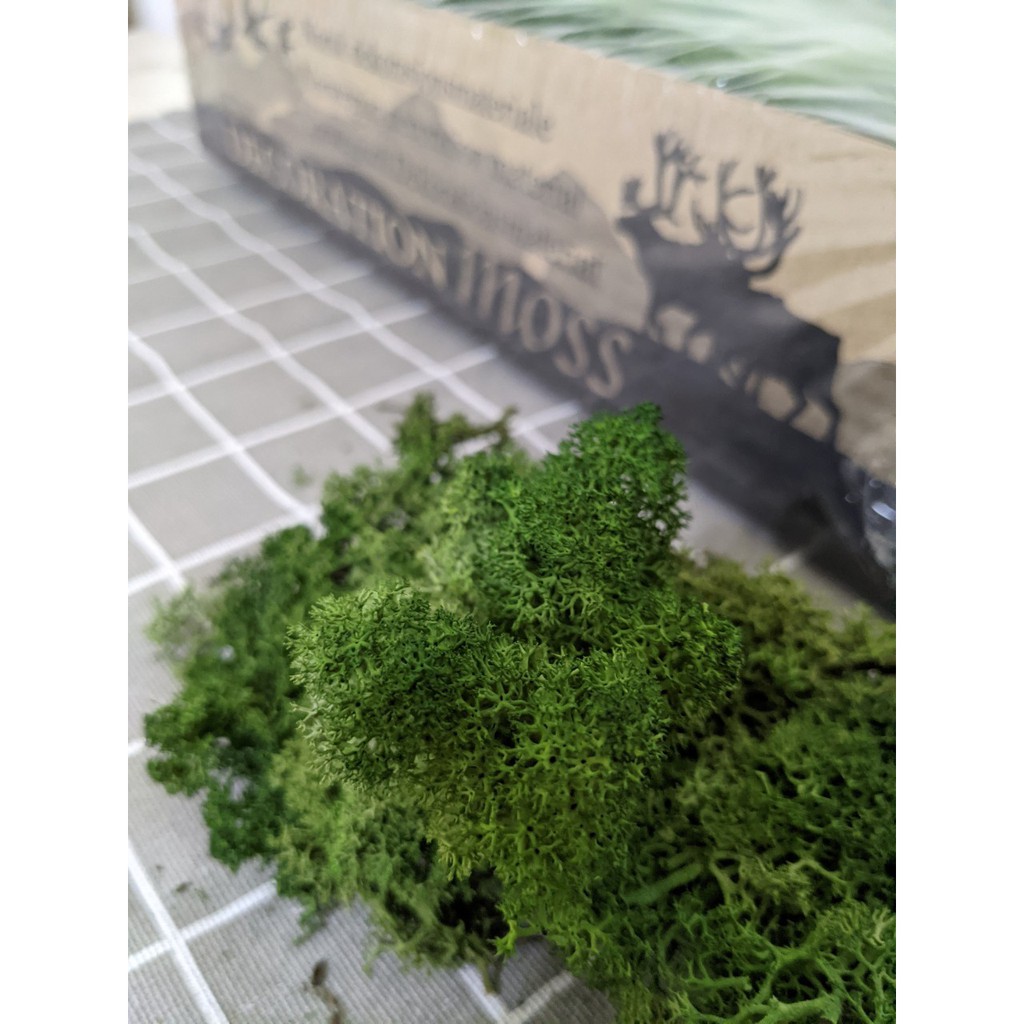 卡斯工坊 挪威進口400g乾燥水苔球水草糜鹿草moss乾燥花材花圈 蝦皮購物